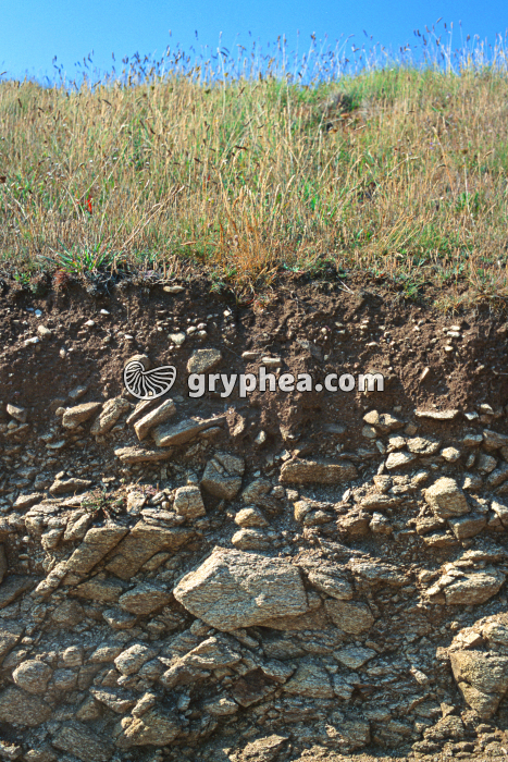 Sol sur granite - gryphea.com